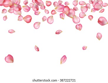 Abstract background with flying pink rose petals. Vector illustration isolated on a white background.