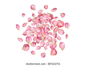 Abstract background with flying pink rose petals. Vector illustration isolated on a white background.