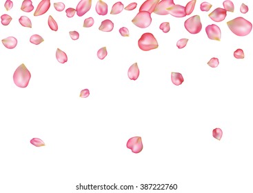 Abstract background with flying pink rose petals. Vector illustration isolated on a white background.