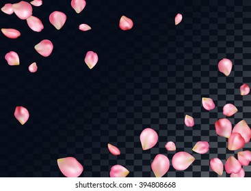 Abstract background with flying pink rose petals.