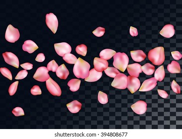 Abstract background with flying pink rose petals.