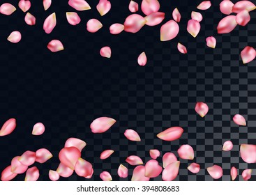 Abstract background with flying pink rose petals.