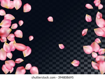 Abstract background with flying pink rose petals.
