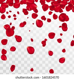 Abstract background with flying red rose petals on a white transparent background. Vector illustration. EPS 10. Rose petals vector illustration.