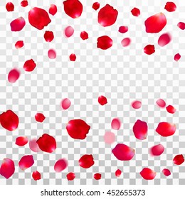 Set of red rose petals Royalty Free Vector Image