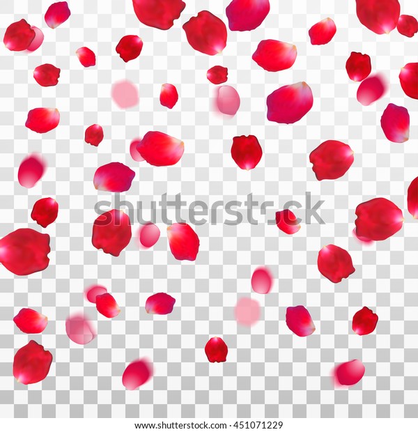 白い透明な背景に抽象的な背景に赤いバラ花びら ベクターイラスト Eps10 のベクター画像素材 ロイヤリティフリー 451071229