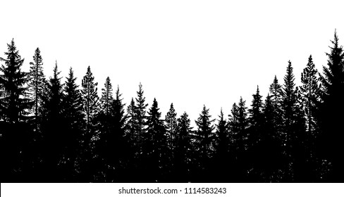 Abstract background. Forest wilderness landscape. Pine tree silhouettes. Template for your design works. Vector illustration.