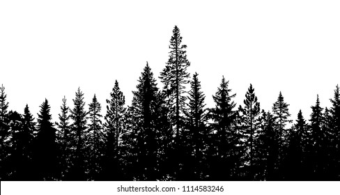 Abstrakter Hintergrund. Waldwildlandschaft. Pinienbaumsilhouetten. Vorlage für Ihr Design funktioniert.  Vektorgrafik.