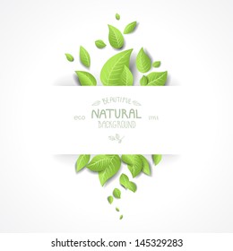 Abstract background with  fresh green leaves