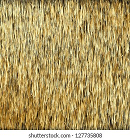 Abstract Background. Golden Threads. Scratched Gold. Vector eps10