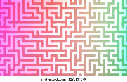 Abstract background with gradient colorful maze. Vector illustration