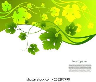 Abstract background with grape vines