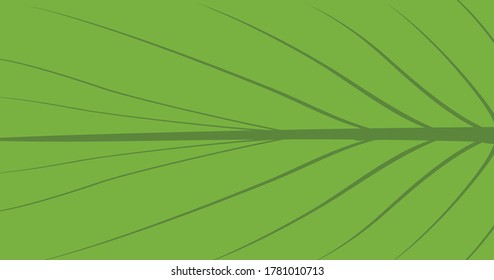 fondo abstracto con color verde