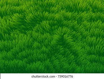 Abstract Background of Green Grassy Field - Background Vector Illustration