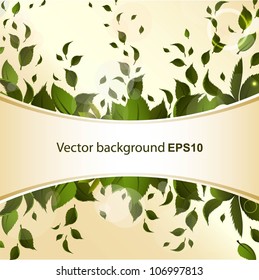 Abstract background with green leaves for design