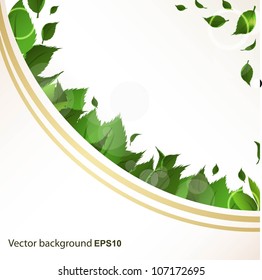 Abstract background with green leaves for design
