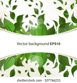 Abstract background with green leaves for design