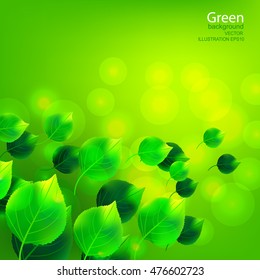 Abstract background with green leaves and lights. Vector illustration.