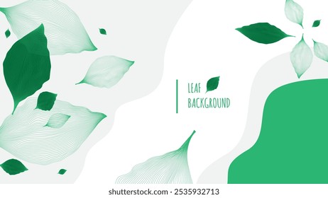 Fundo abstrato com folhas verdes. Ilustração vetorial para seu design