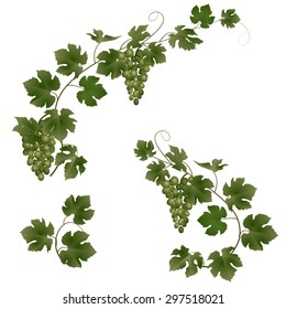 abstract background with green leaves. vector illustration