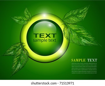 Abstract background green with leaves, vector.