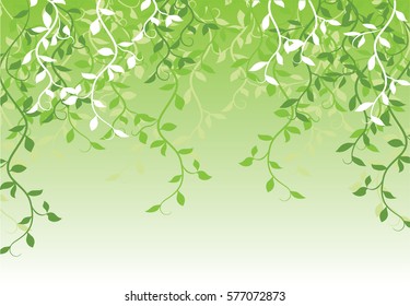 abstract background with green leaves and vine. 