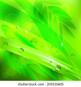 abstract background green leaves and water drop.vector background