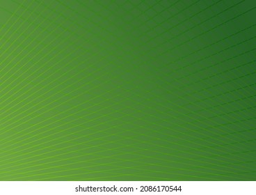 Abstract background of green line color of modern design,vector illustration