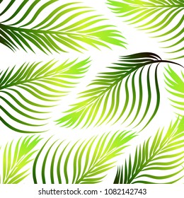 Abstract background of green palm leaves. Vector