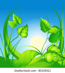 abstract background with green sheet at solar day