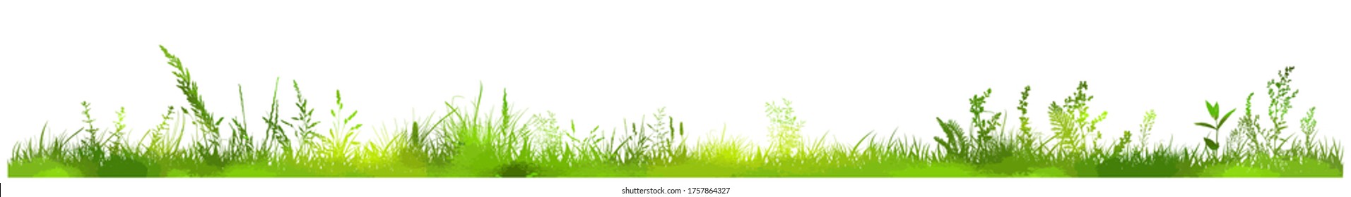 Abstract background with green silhouettes of meadow wild herbs and flowers. Wildflowers. Floral background. Wild grass. Vector illustration.