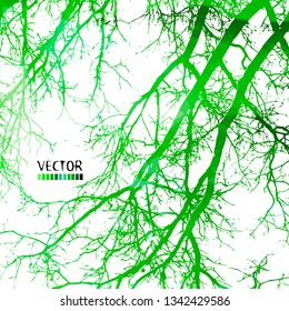 Abstract background with green tree branches. Vector illustratio