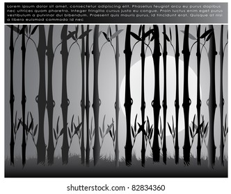 Abstract background with growing bamboo grove on the full moon and grass