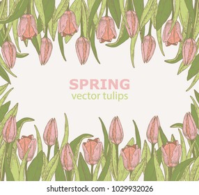 Abstract background with hand draw tulips, spring flowers, sketch. Vector illustration.