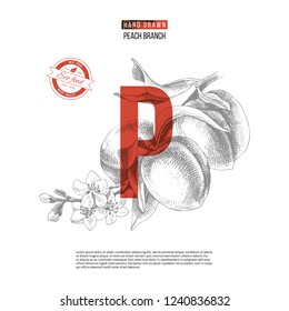 Fundo abstrato com ramo de pêssego desenhado à mão. Modelo de pôster vetorial para seus designs originais