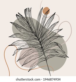 Abstract background: hand drawn tropical leaf silhouette, geometric shapes, curved lines. Vector illustration for social media, cover, poster, invitations in geo minimalist design, minimal layout