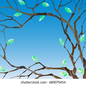 Abstract background image with the branches and leaves of the tree on a blue sky background