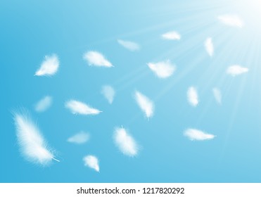 Abstract background image of white feathers flying in air. Vector illustration