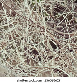 Abstract background of intertwined branches