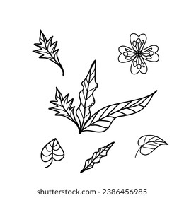 abstract background with leaf collection