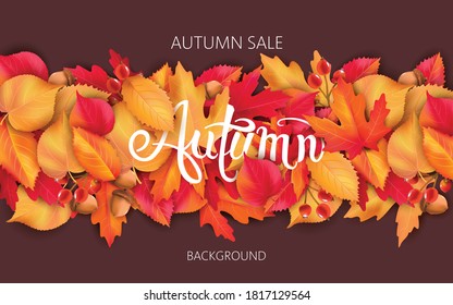 Abstrakter Hintergrund mit Blättern, Akkorden und Beeren. Verkauf im Eigenhandel. Vektorgrafik