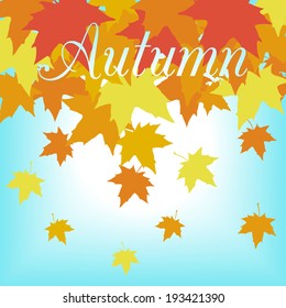abstract background with leaves of maple, vector illustration