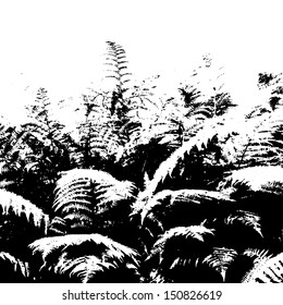 Abstract background with leaves silhouette of fern, black and white vector illustration