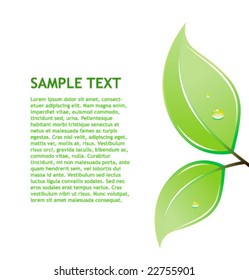 Abstract background with leaves. Vector illustration.