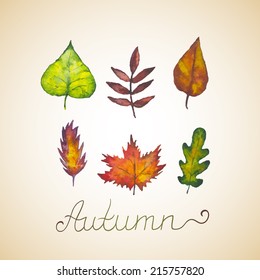 Abstract background with leaves. Watercolor paint. Autumn theme. Can be used for card, invitation or some text.