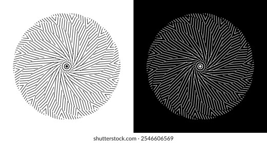 Abstract background with abstract line pattern in circles. Spiral art design as a logo or icon. A black figure on a white background and the same white figure on a black side. Mandala design with line