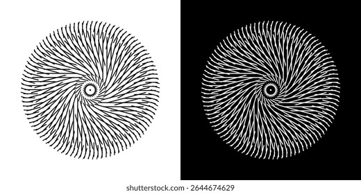 Abstract background with abstract line pattern in circles. Spiral art design as a logo or icon. A black figure on a white background and the same white figure on a black side. Mandala design with line
