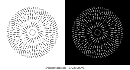 Fondo Abstractas con patrón de línea abstracta en círculos. Diseño de arte en espiral como logotipo o icono. Una figura negra sobre un fondo blanco y la misma figura blanca sobre un lado negro. Diseño de mandala con línea
