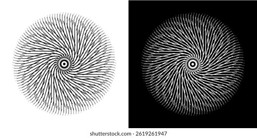Abstract background with line pattern forming circle. Spiral art design as logo or icon. Black lines on white background and same white lines on black side. Mandala with line pattern.	

