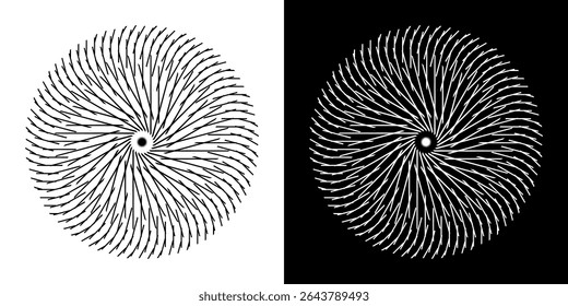 Abstract background with line pattern forming circle. Spiral art design as logo or icon. Black lines on white background and same white lines on black side. Mandala with line pattern.